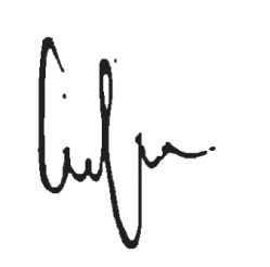 Peter Seah signature