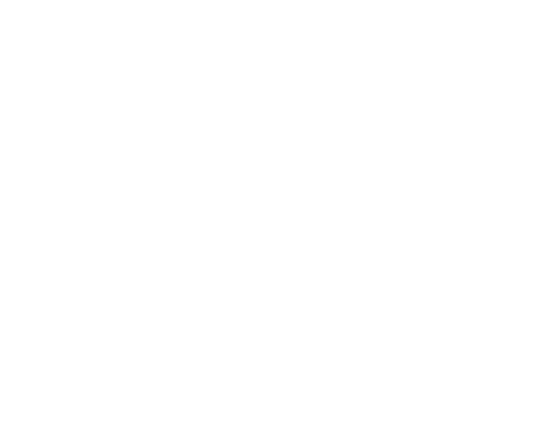 Star icon