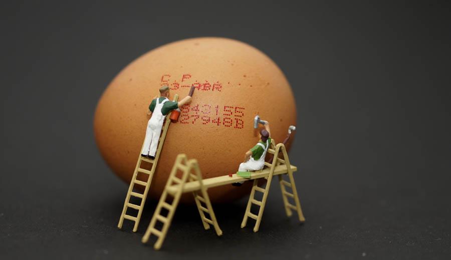 Art work on egg - printing 'sell-by' or 'best-before' dates