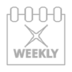 Expanded Investment Insights