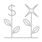 Strategic Portfolio Leverage