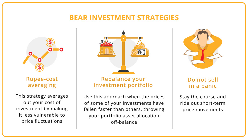 Bear Investment Strategies
