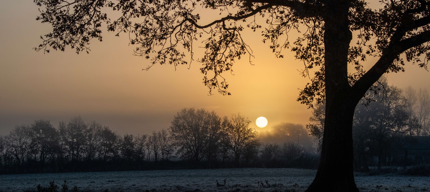 Weekly Markets Anticipate A New Dawn Weekly Markets Anticipate A New Dawn