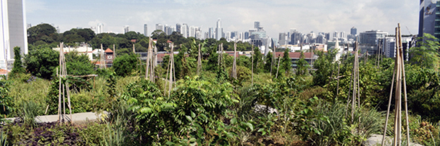 Edible Garden City