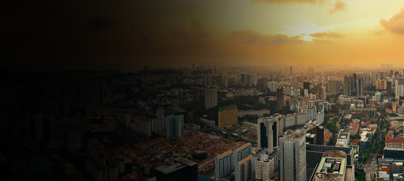 DBS 2019 financial results