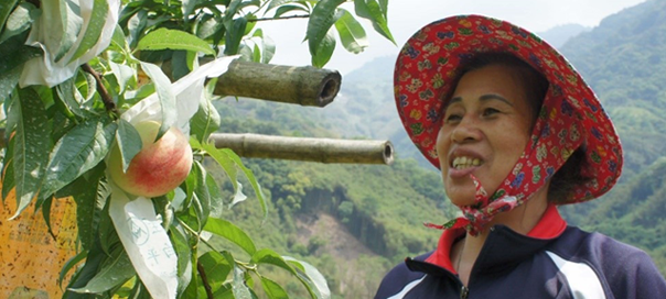 Help that came like “a bout of timely rain”