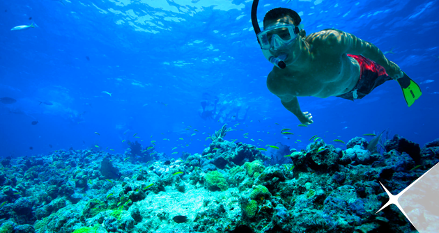 5 Tempat Snorkeling di Bali ini Sayang Untuk Kamu Lewatkan