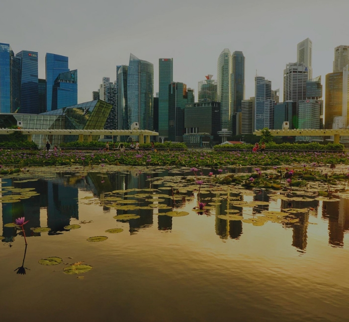 DBS-SMU Sustainability Initiative