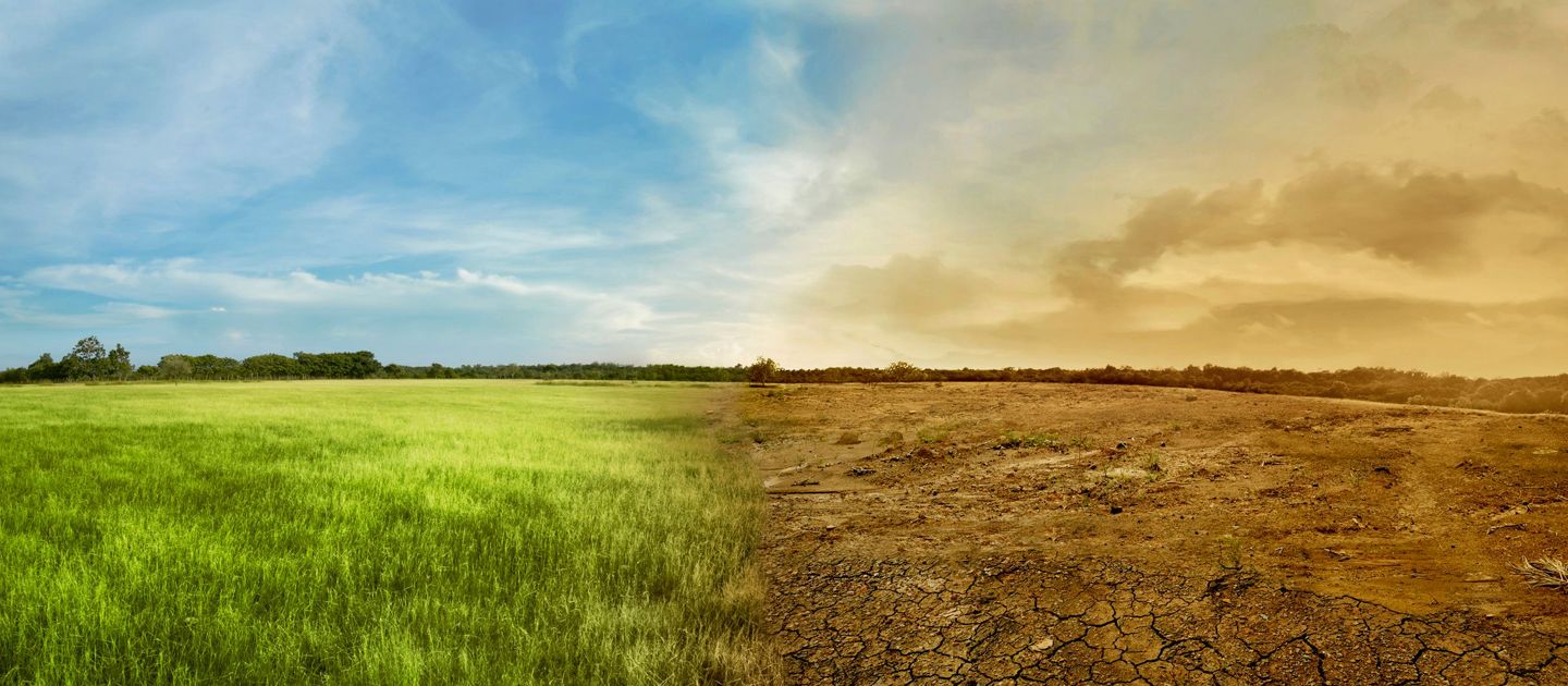 Financing the Fight Against Climate Change.