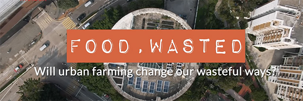 Live more, Waste less: Can Urban Farming Fix Our Broken Relationship With Food? | Food, Wasted 3/3