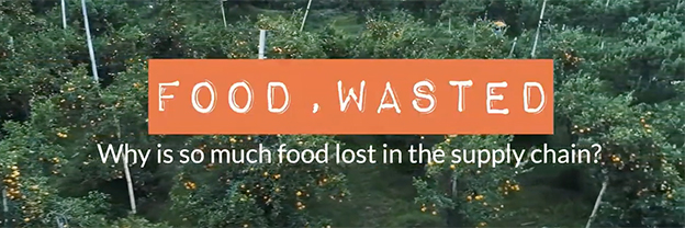 Live more, Waste less: Why So Much Food Is Lost In The Supply Chain | Food, Wasted 2/3
