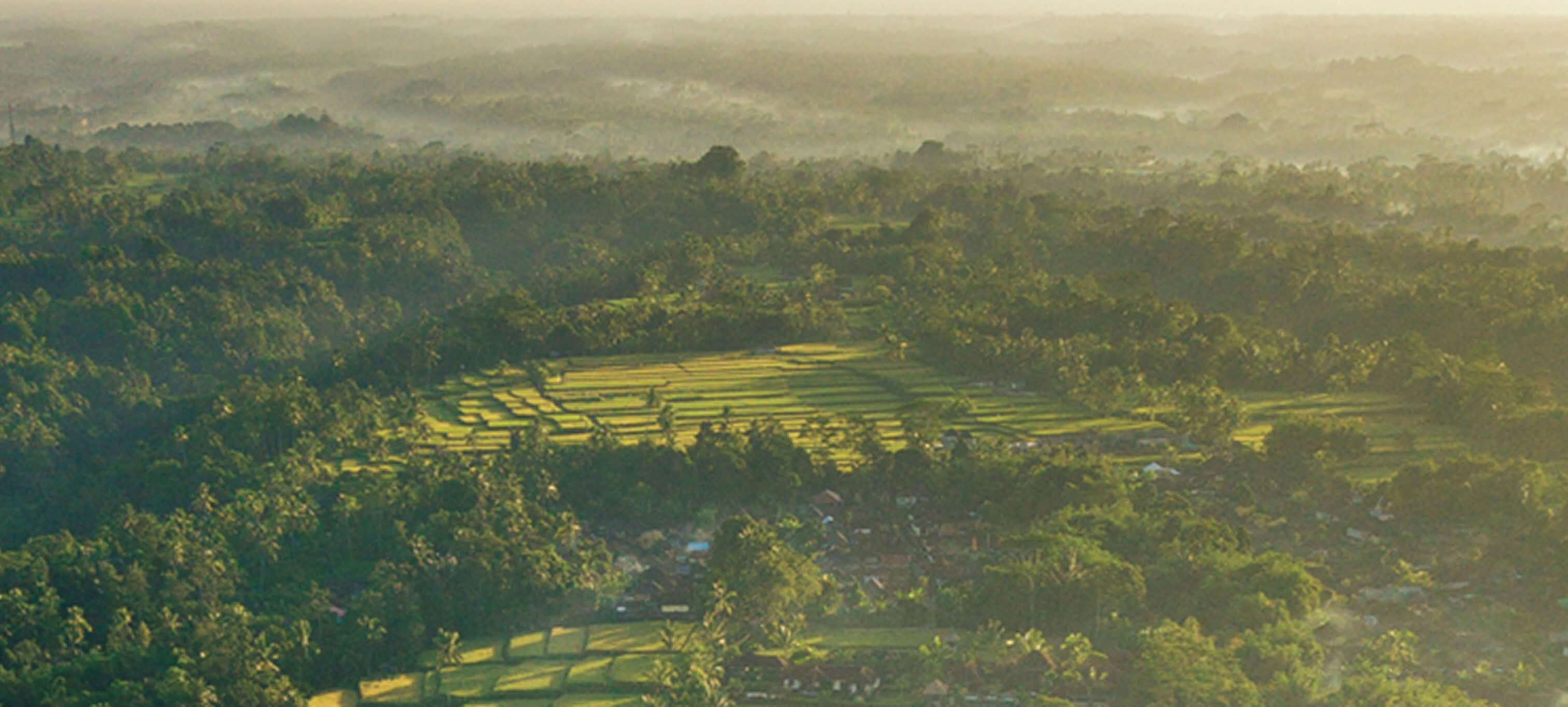 China + 1: The Best of Multiple Worlds