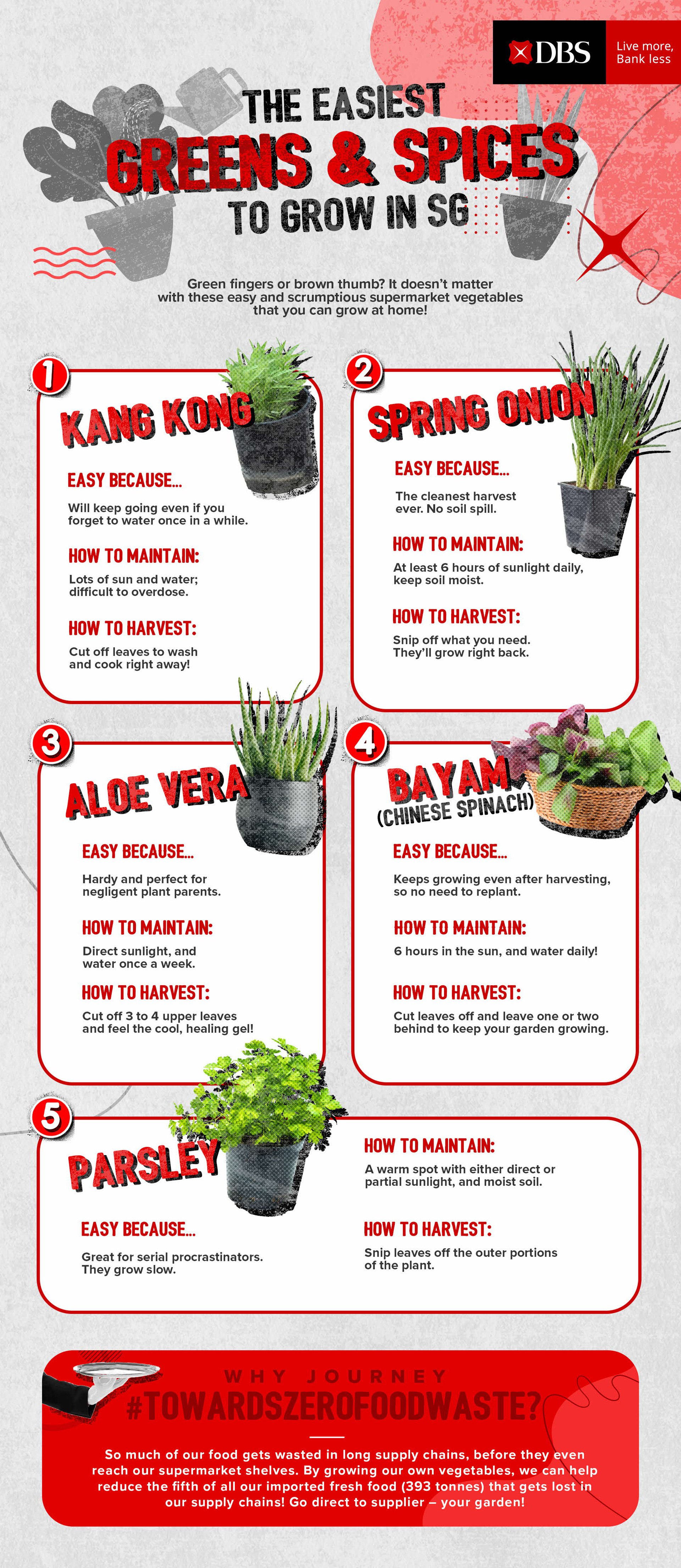 20 low maintenance greens to grow from home in Singapore