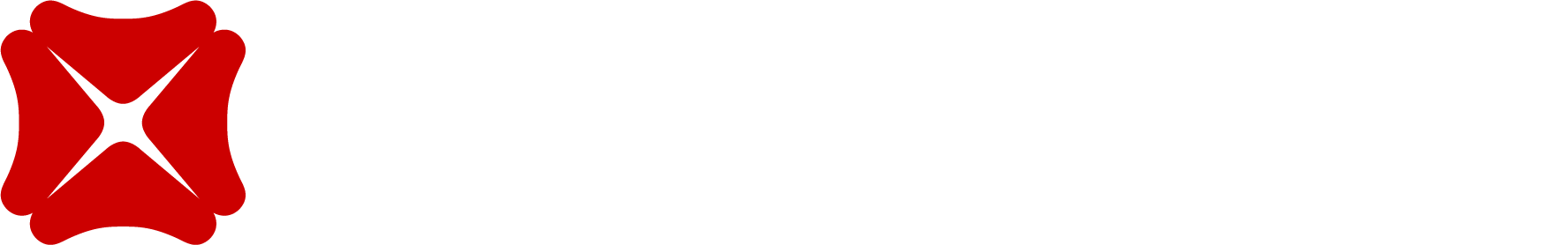 DBS Logo