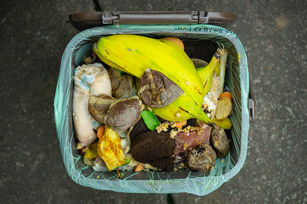 Wajib Tahu! Ini Perbedaan Food Waste dan Food Loss