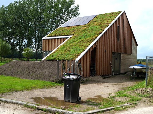 Bye Panas Terik, Hello “Green Roof”!