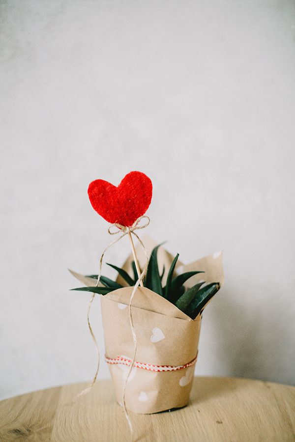 8 Inspirasi Kado Valentine Nan Ramah Lingkungan!