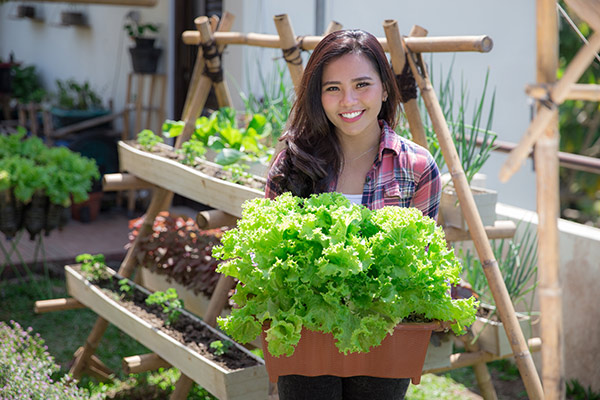 DBS Live More Society - Bertanam Di Lahan Sempit, Ini Fakta Urban Farming