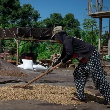 Java Mountain Coffee memiliki misi untuk memberdayakan satu juta perempuan petani kopi dan menanam 3 juta bibit dan pohon kopi baru pada 2030.