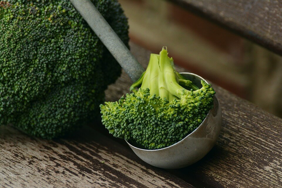 Brokoli mengandung serat tinggi sehingga dapat membuat perut merasa kenyang lebih lama.