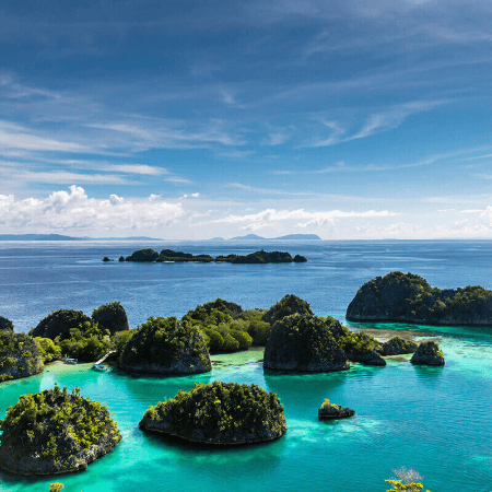 5 Pilihan Wisata  Bahari  di  Indonesia  Nomor 5 Sangat 