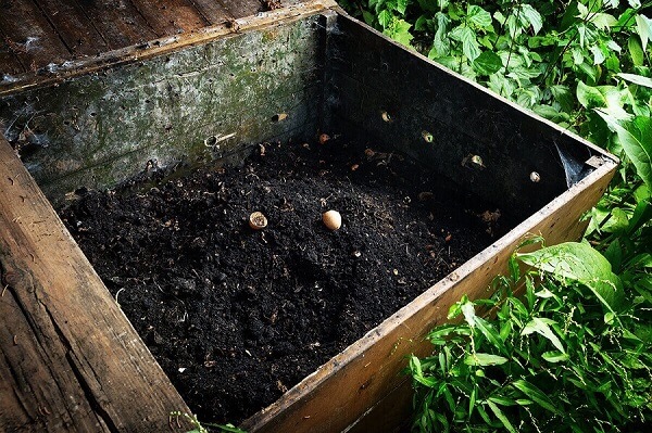 Sampah organik diolah menjadi pupuk kompos yang dapat digunakan untuk berkebun.