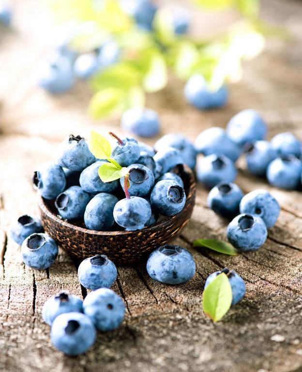 Blueberry efektif membuat kenyang lebih lama