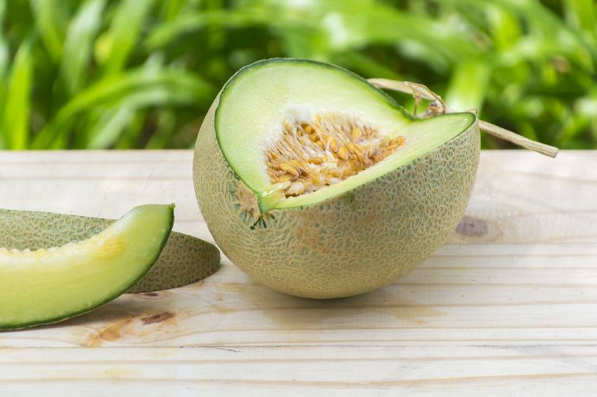 Buah melon kaya kandungan air yang membuat kamu kenyang lebih lama