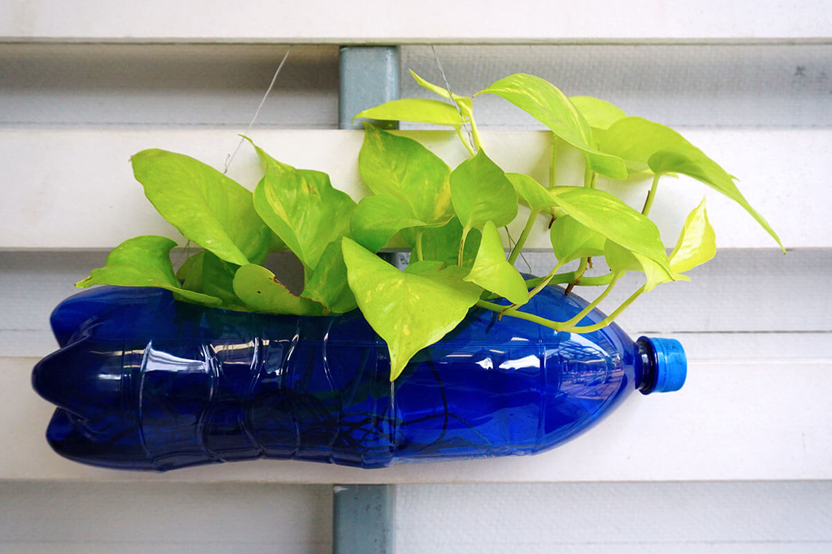 Menyulap botol plastik menjadi pot tanaman.